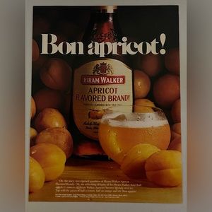 Hiram Walker 1981 Advertisement